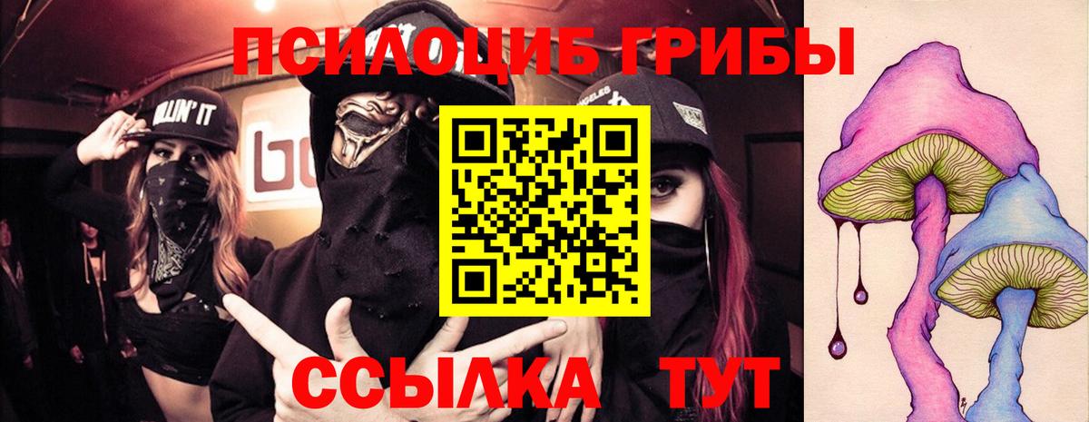 Псилоцибиновые грибы мицелий Волжский
